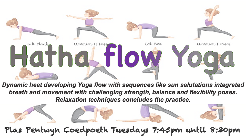 hatha flow yoga