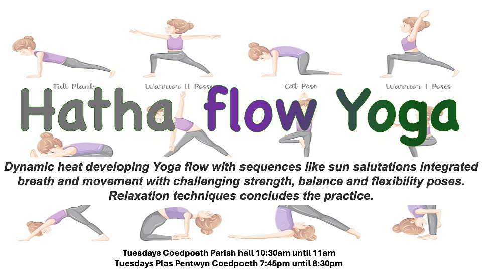 hatha flow yoga